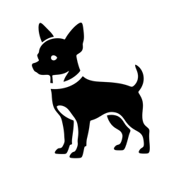 Miłośnicy Chihuahua